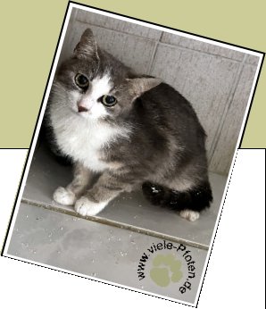 Bild : Agatha