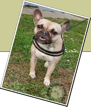 Bild : Lucy