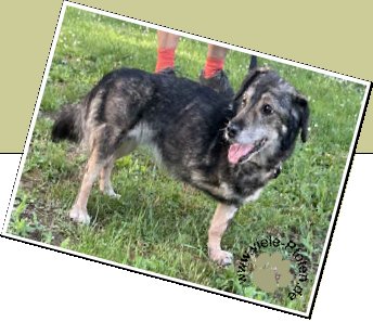 Bild : Margo