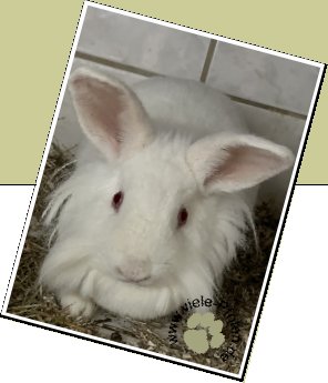 Bild : Milly